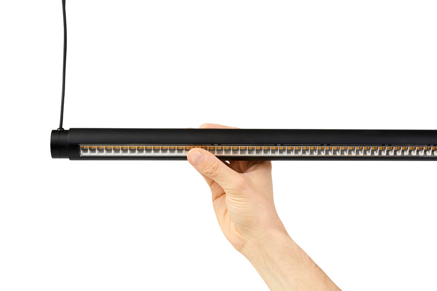 Factor Linear Suspension Lamp Directional