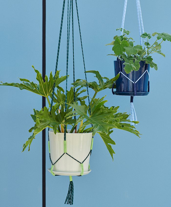 HAY PHANTA - Plant Hanger